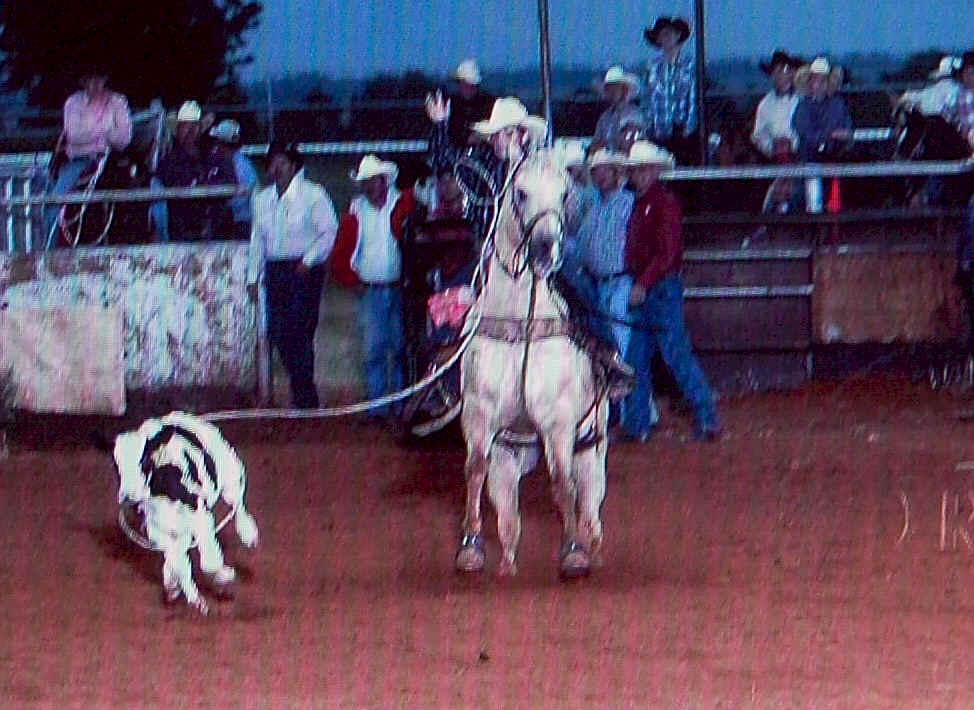 Calf Roping Horses For Sale